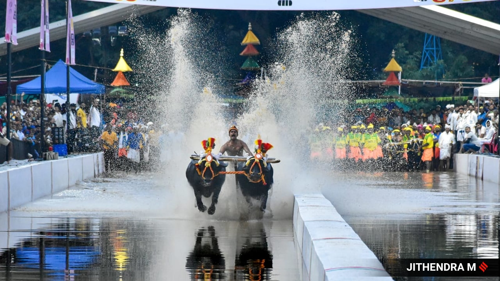 winners-announced-for-bengaluru-s-maiden-kambala-bangalore-news-the