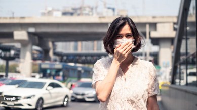 "Air pollution masks in Delhi," "Best face masks for smog in Delhi," "How to choose the right mask for Delhi pollution