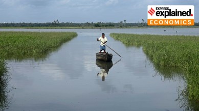 A man rowing a country boat through waterlogged paddy fields of Kadamakkudy village in Ernakulam in 2018.