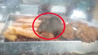 chennai rat stanley hospital canteen shut down