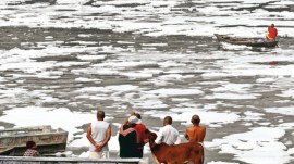 Municipal Corporation of Delhi (MCD), chhath puja, Aam Aadmi Party (AAP), delhi news, India news, Indian express, Indian express India news, Indian express India