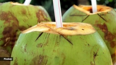 What occurs for your frame while you drink coconut water on a daily basis?