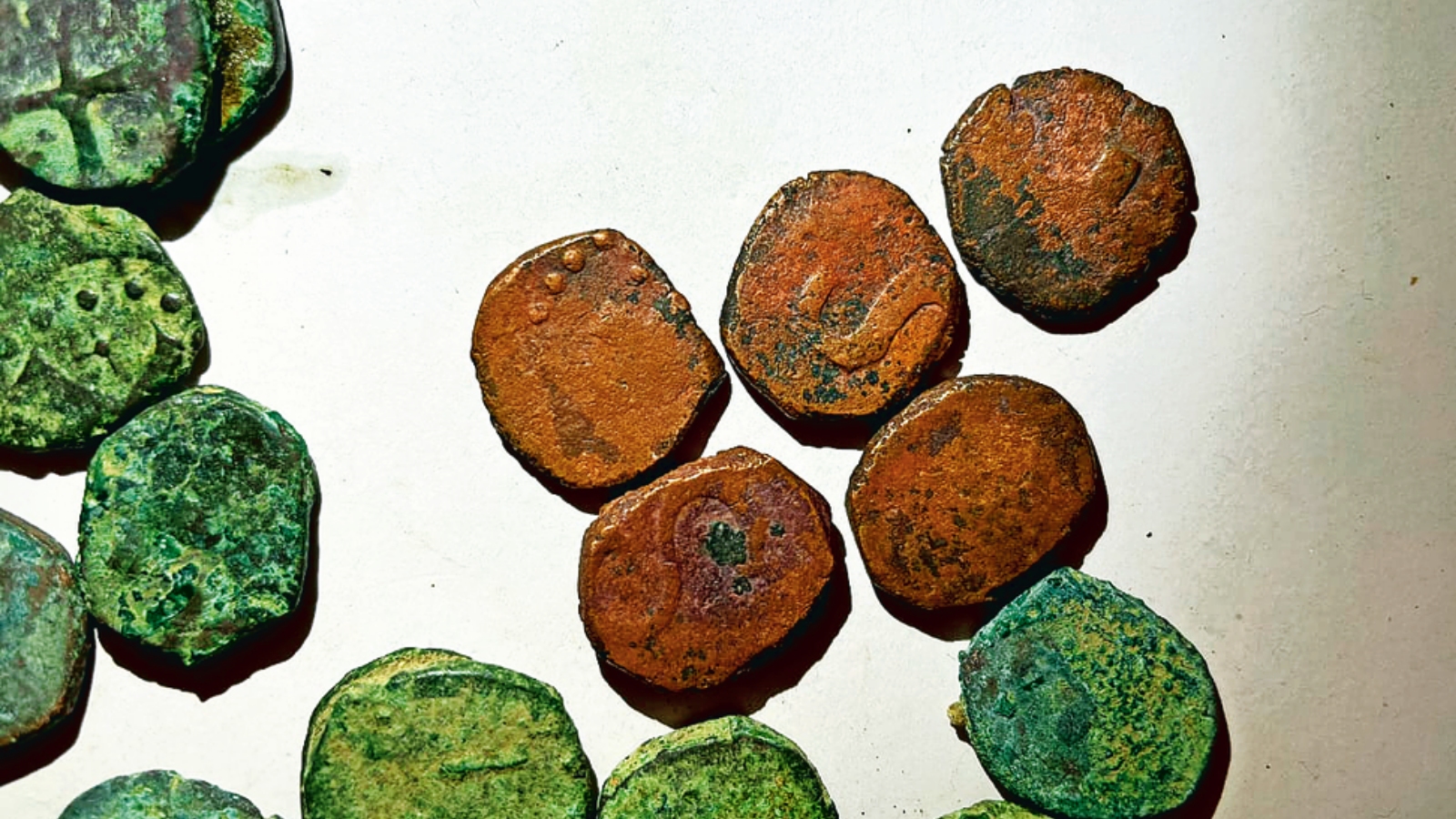 Copper Coin Tree Cashew farmer chances on rare find: 832 copper coins from Portuguese ...