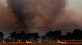 cover delhi, delhi odd even, delhi pollution, Odd-even scheme to return to Delhi news, farm fire, Punjab farm fire, Punjab stubble burning, stubble burning Punjab,indian express