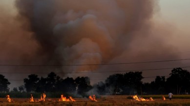 delhi, delhi odd even, delhi pollution, Odd-even scheme to return to Delhi news, farm fire, Punjab farm fire, Punjab stubble burning, stubble burning Punjab,indian express