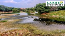 cover lakes of bengaluru, Vibhutipura Lake, Vibhutipura Lake bengaluru, Vibhutipura Lake pollution, Vibhutipura Lake bengaluru pollution, bengaluru lakes pollution, indian express news