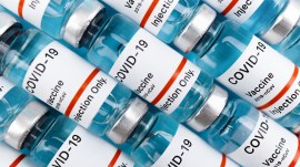 covid 19 vaccines, indian express