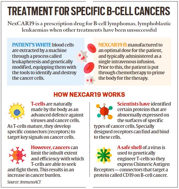 First patient free of cancer Indigenous CAR T cell therapy