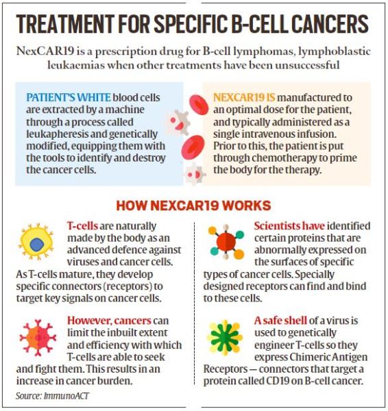 NexCAR19 India’s first CAR-T cell therapy