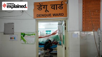 bihar dengue
