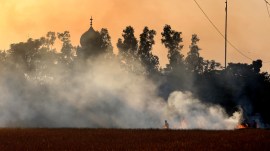 farm fires, Punjab farm fires, NGT on farm fires, stubble burning, action against farm fires, farm fire control, indian express news