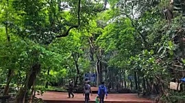 forest forest land to revenue land, bengaluru news, indian express