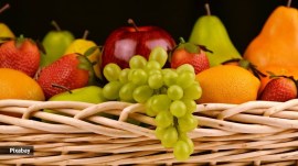 fruits