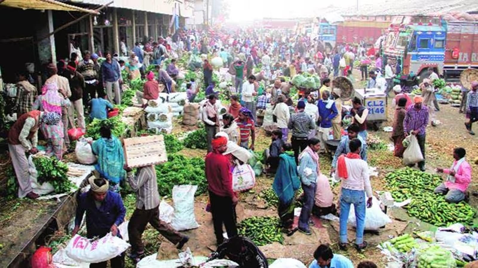Gujarat agri marketing board gets new director after 4 years