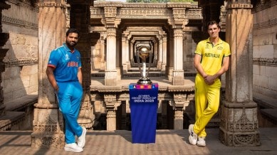 India Vs Australia: How to live stream Cricket World Cup final for free