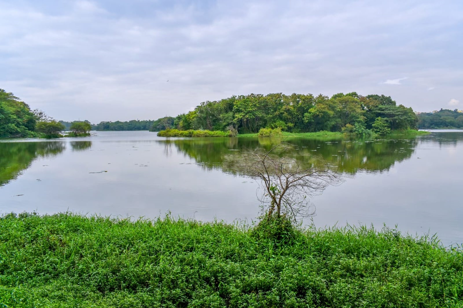 bengaluru lake
