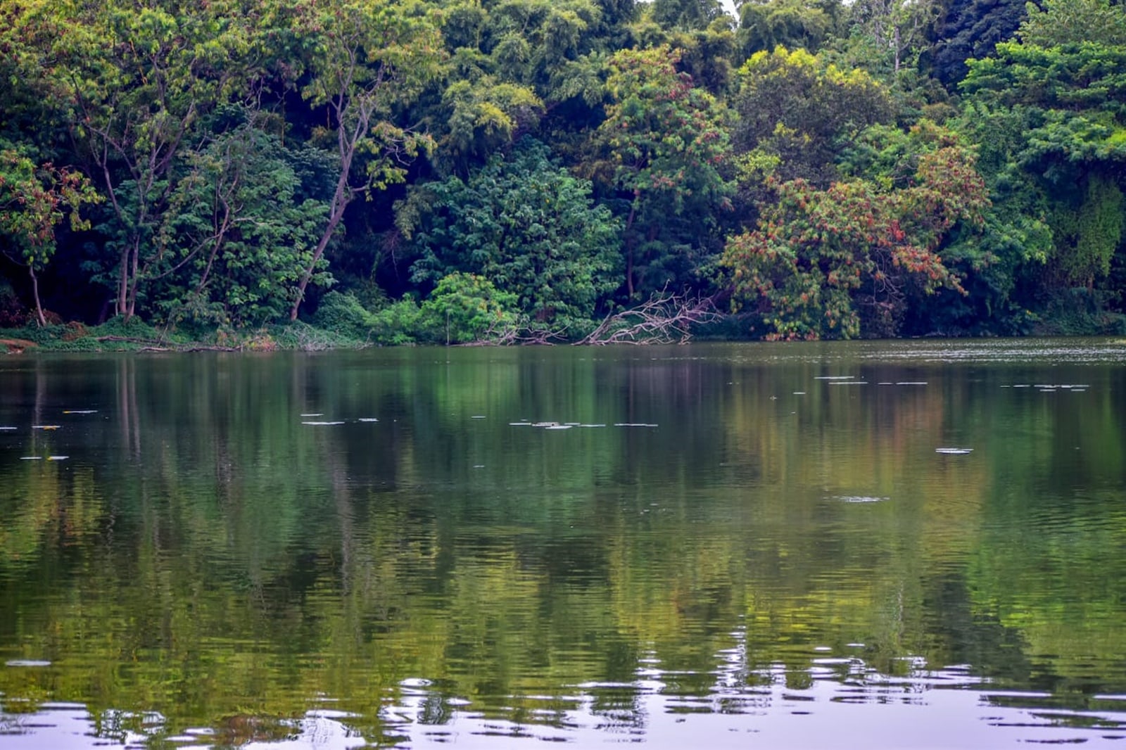 hebbal lake bengaluru