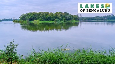 lakes of bengaluru, hebbal lake bangalore