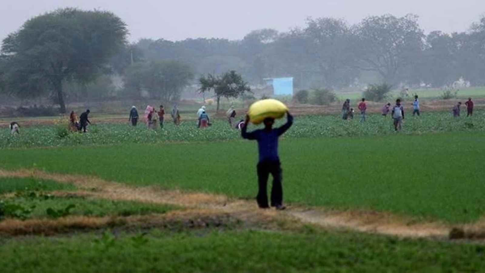 Andhra CM gives land ownership rights to over 20 lakh poor | India News ...