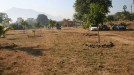 Odisha Scheduled Areas Transfer of Immovable Property (by STs) Regulation, 1956