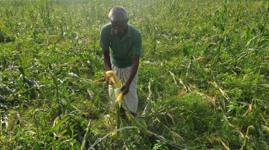 maharashtra farmers