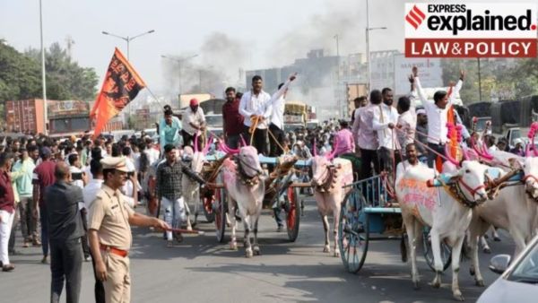 maratha agitation