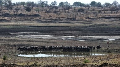 marathwada region drought