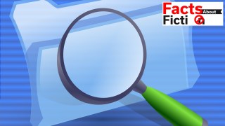 metadata fact-finding role