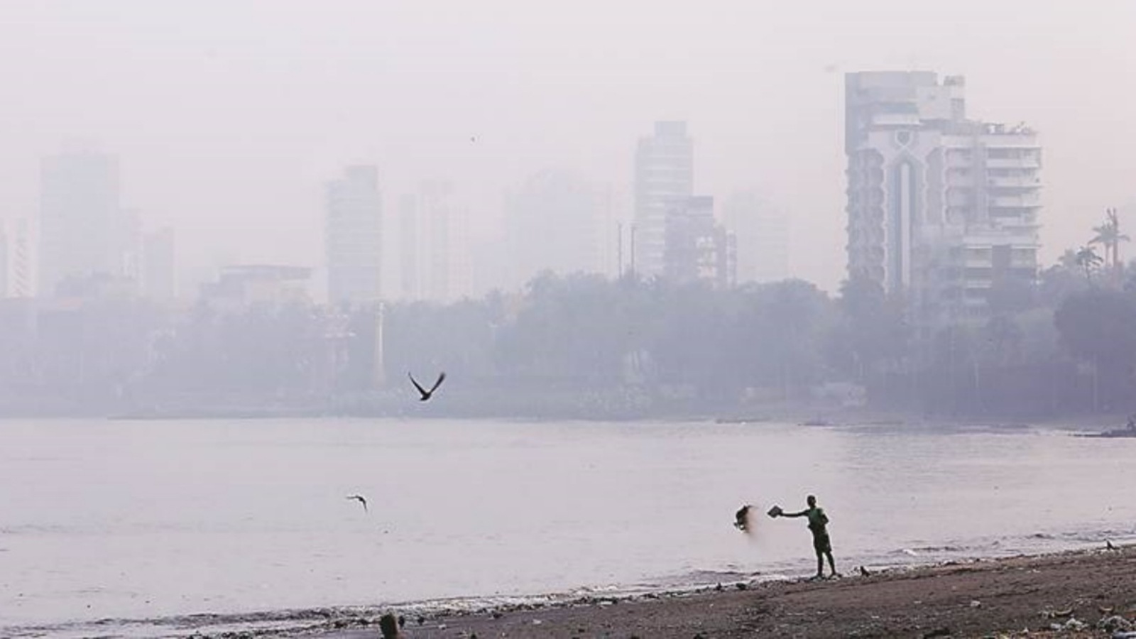 Rain brings respite from heat, dust; IMD issues yellow alert | Mumbai ...