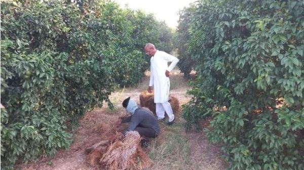 munching technique upsc