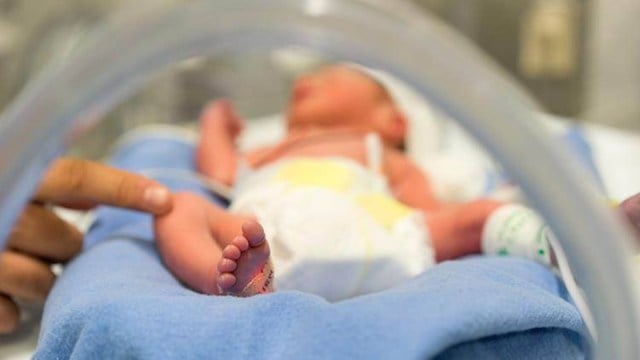 special newborn care unit, Gujarat newborn care unit, Gujarat hospital news, SNCU gujarat, indian express news