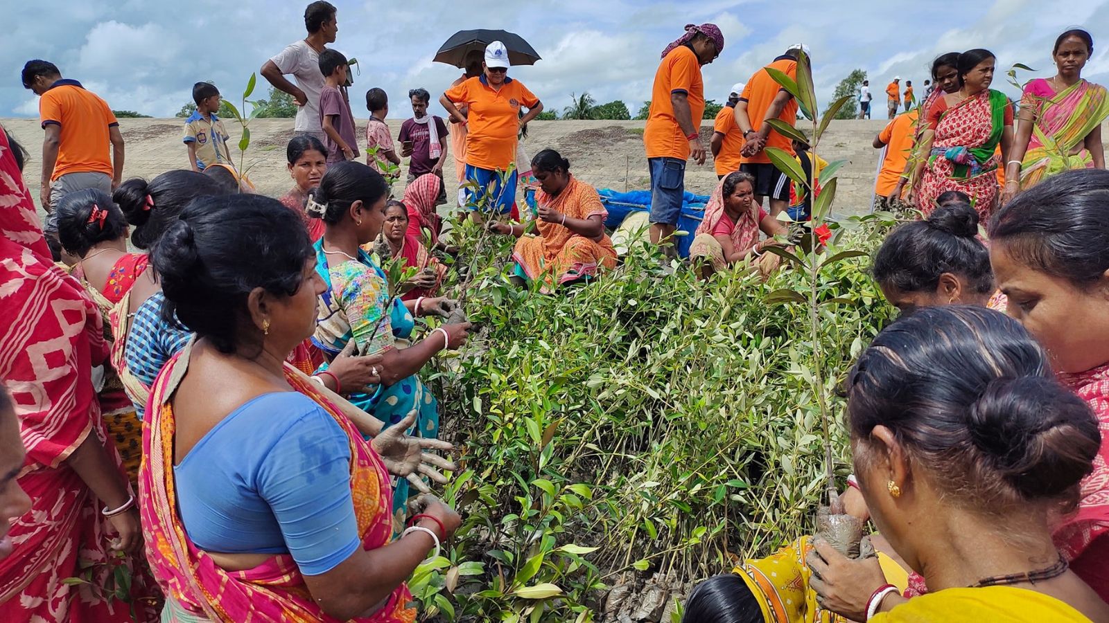 Since the women are always in or around the river — catching fish or drying cow dung cakes — they keep an eye on the mangrove forest. (Umashankar Mandal