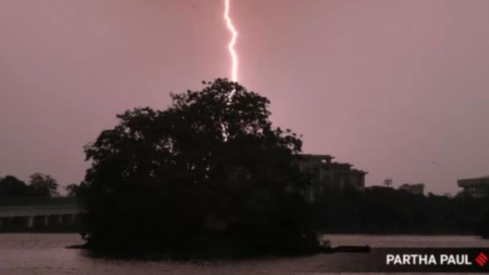 Death toll due to lightning strikes rises to 24 in Gujarat