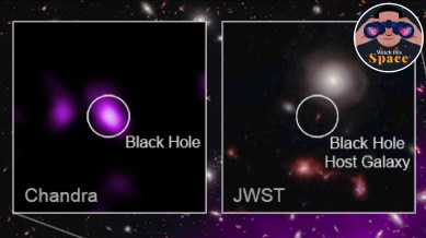 Black holes