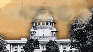 Delhi Air Pollution: How Supreme Court order on firecrackers, stubble burning offered a literal breath of fresh air in Delhi last year
