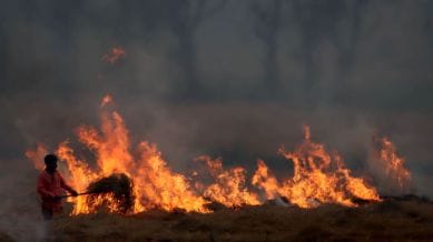 stubble burning