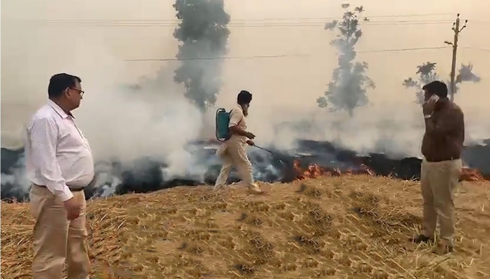 punjab farm fires