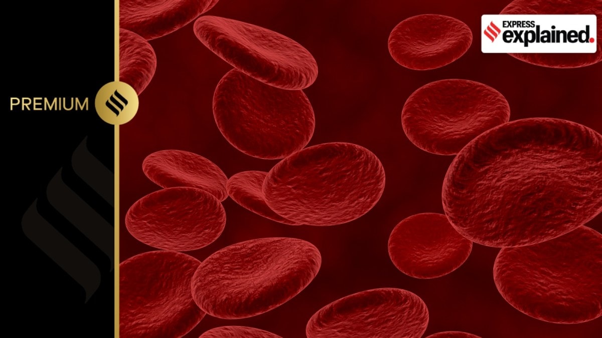 3d render of blood cells and bacteria in an artery.