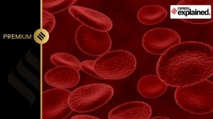 3d render of blood cells and bacteria in an artery.