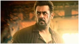 Tiger 3 stars Salman Khan and Katrina Kaif in lead roles.