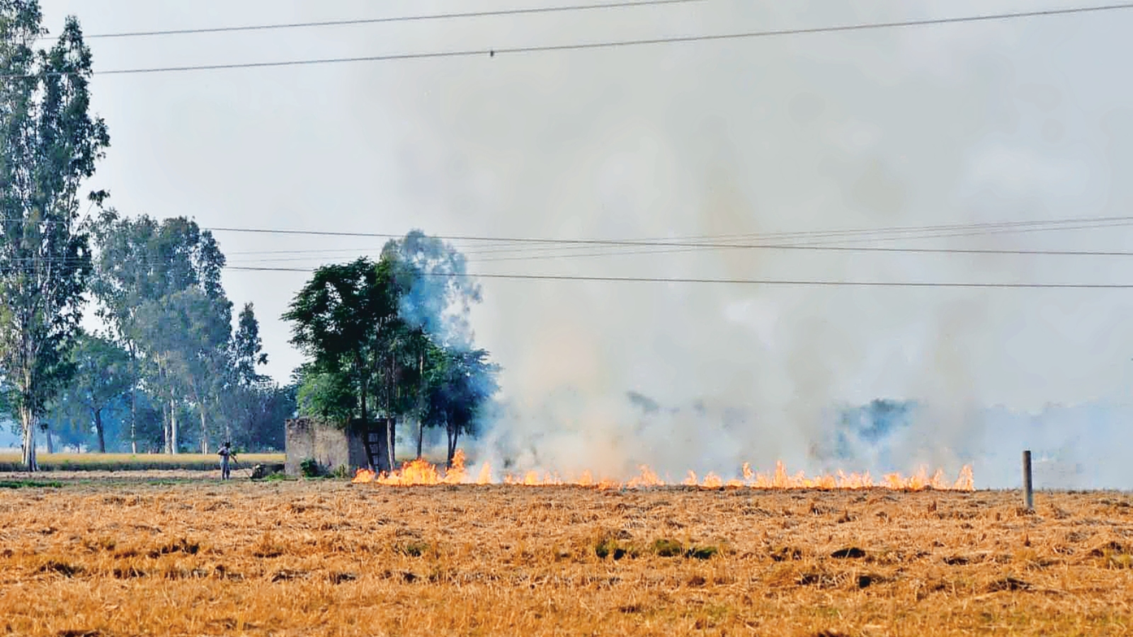 At Nearly 2,000, Farm Fires In Punjab Highest In A Day; Bad Air ...