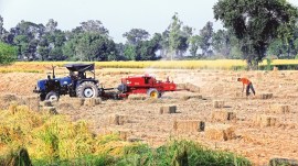 stubble-6col Haryana, Kaithal and Jind, haryana government, stubble burning, punjab farm fire, delhi farm fire, delhi news, India news, Indian express, Indian express India news, Indian express India