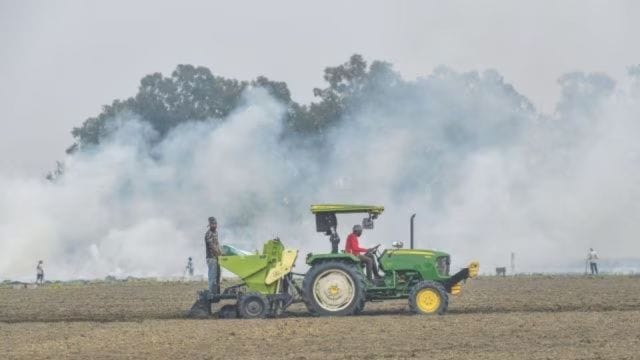 stubble burning in paddy fields