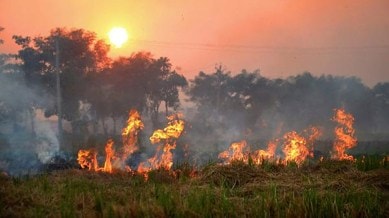 stubble burning punjab