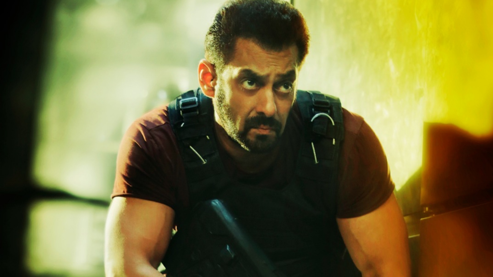 Tiger 3 Box Office Collection Day 14 Can Salman Khan Starrer Cross Rs 450 Crore Worldwide