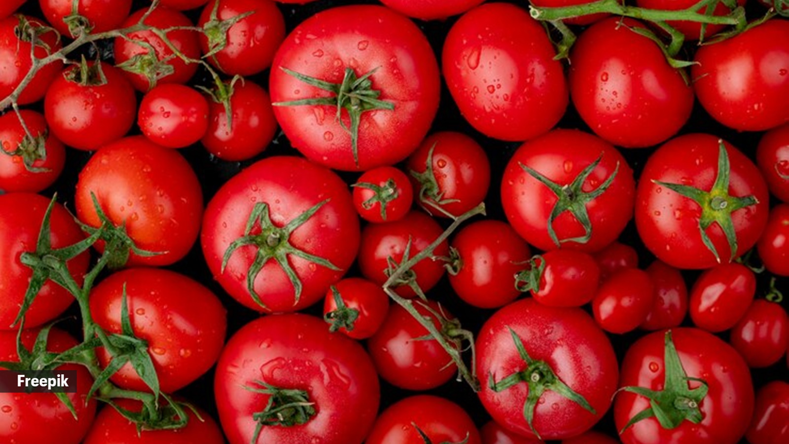 What happens to your body if you eat tomatoes every day? | Food-wine News