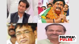 madhya pradesh pulse