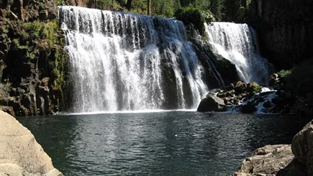 waterfalls safequard, bombay hc plea