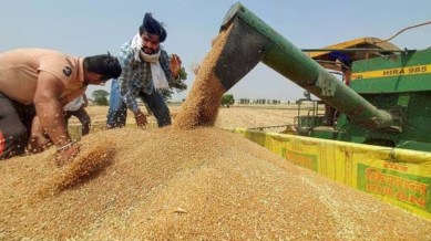 Millet Man of India, daily diet, use of wheat daily food, rice and sugar, farming and healthcare industry, pharma healthcare industry, food experts, indian express news
