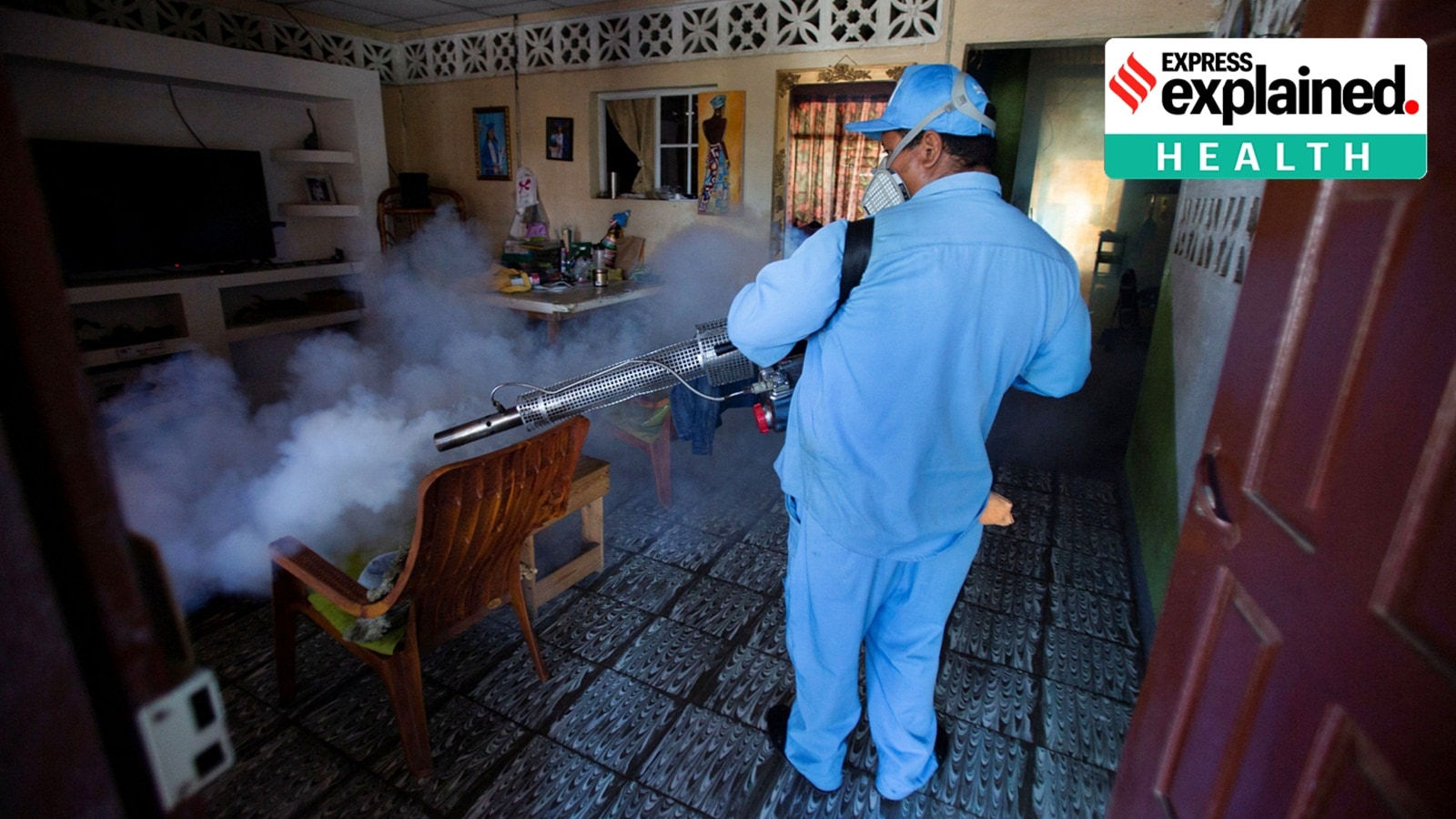 Urlaubsrückkehrer Aufgepasst Neue Dengue Fälle In Frankreich Und Italien Jetzt Handeln - sibwnvl